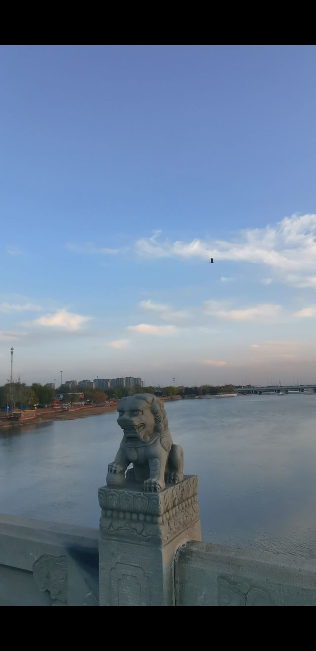 盧溝橋上501隻石獅的秘密，你知道幾多個？