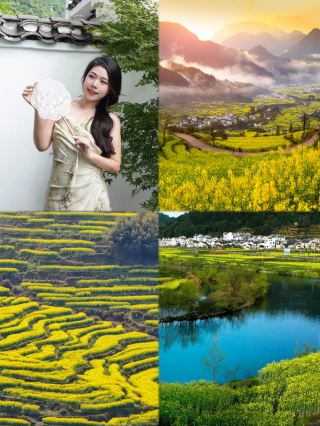 Spring has sprung, and it's time to witness the rapeseed flower season in Wuyuan!