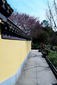 慧英高麗寺
