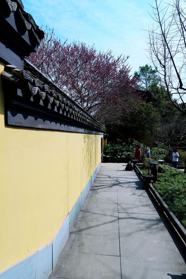 慧英高麗寺