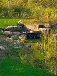 📍深圳｜恩上濕地公園👉週末吸氧好去處