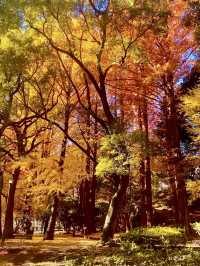 東京城市綠洲：芝公園的悠然時光