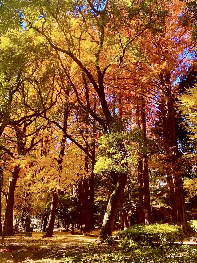 東京城市綠洲：芝公園的悠然時光