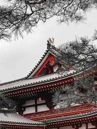 日本8日遊｜清明賞花不容錯過的路線