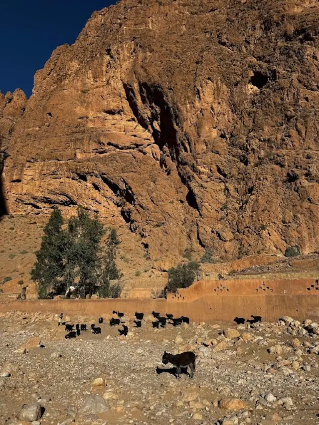 A 7-Day Visa-Free Tour of Morocco