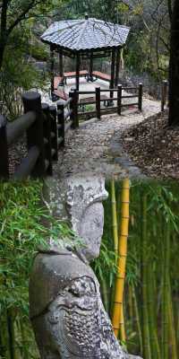 慈溪栲栳山徒步秘境