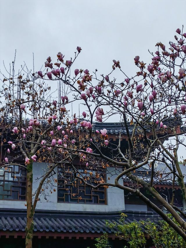 春日嘅淨慈寺