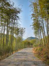 走進德清驚險潭瀑布，領略大自然的鬼斧神工