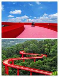 深圳虹橋公園 | 藏在城市裡的「紅色飄帶」！森林徒步+空中棧橋