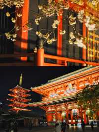 東京賞櫻｜懶人寶典 東京三條精華賞櫻路線