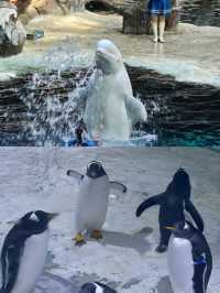 杭州都有海洋動物世界