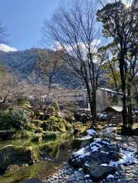 大雪紛飛金華山