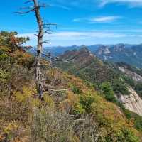 韓國聞慶市 鳥嶺山—攀登雲霧繚繞的韓劇仙境！