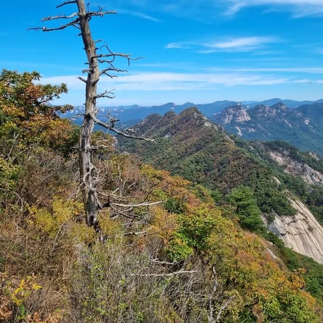 韓國聞慶市 鳥嶺山—攀登雲霧繚繞的韓劇仙境！