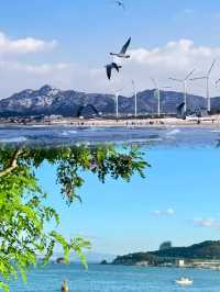 山東威海已回歸！真的不建議這個月去！因為……