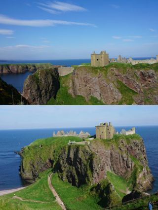 Aberdeen | You have to feel happy before you can see the roses