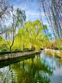 北京賞花路線分享