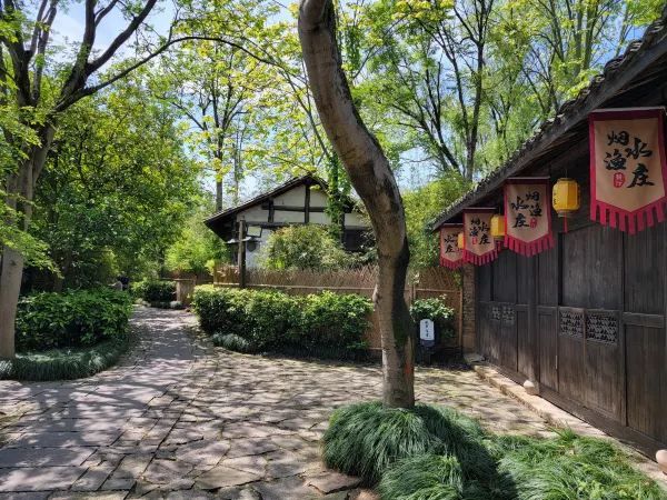 Explore the Wonders of Xixi Wetland in Hangzhou