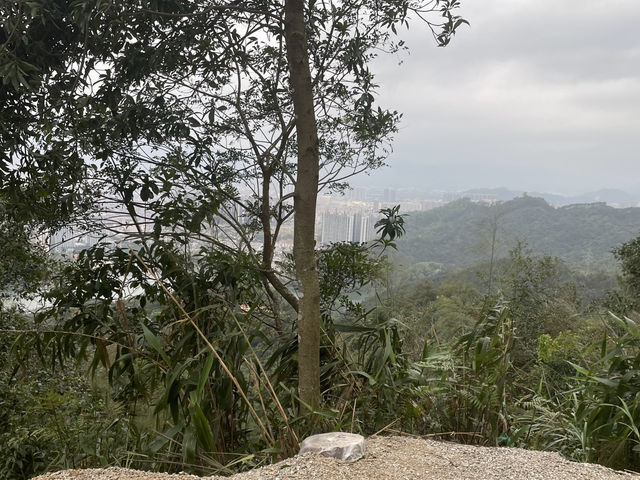 陽春登山道攻略｜爬上去，看到整座城市的心跳 🏞️🥾 