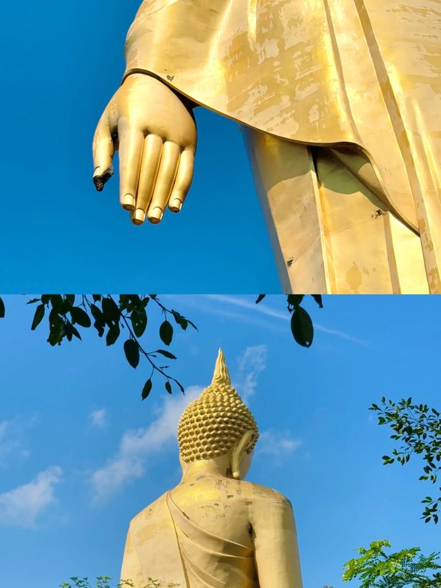 探秘雲南秘境：勐泐大佛寺