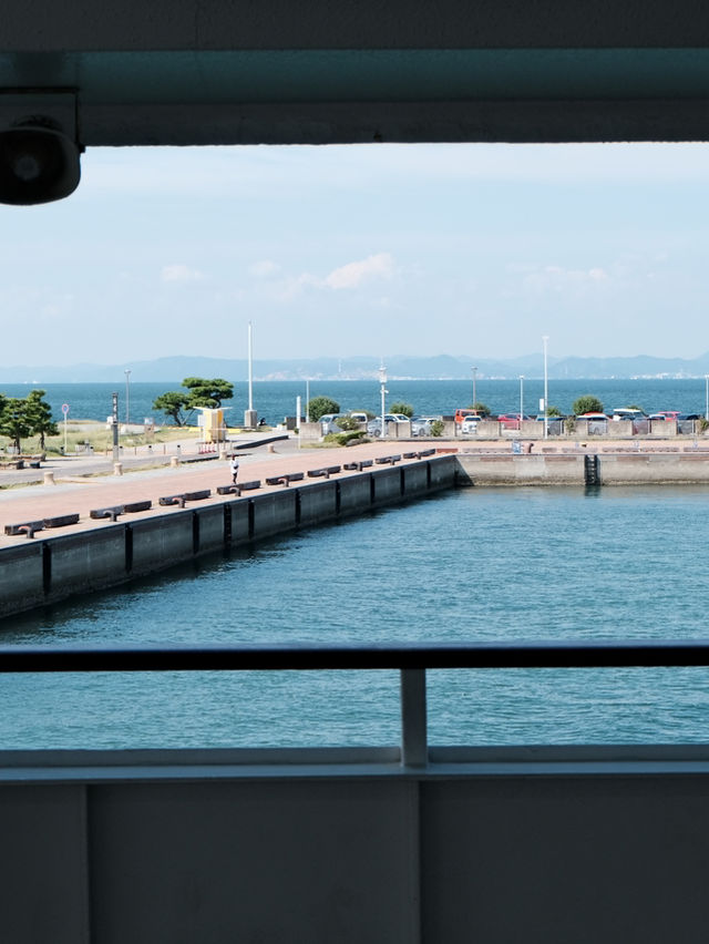 🌸伊江島賞櫻攻略：離島上的粉色浪漫✨