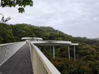 城市中的綠洲｜大頂嶺山林公園的自然體驗