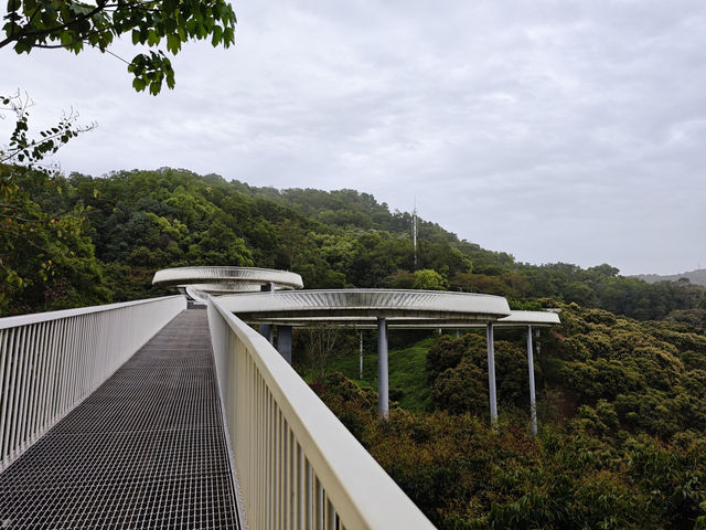 城市中的綠洲｜大頂嶺山林公園的自然體驗
