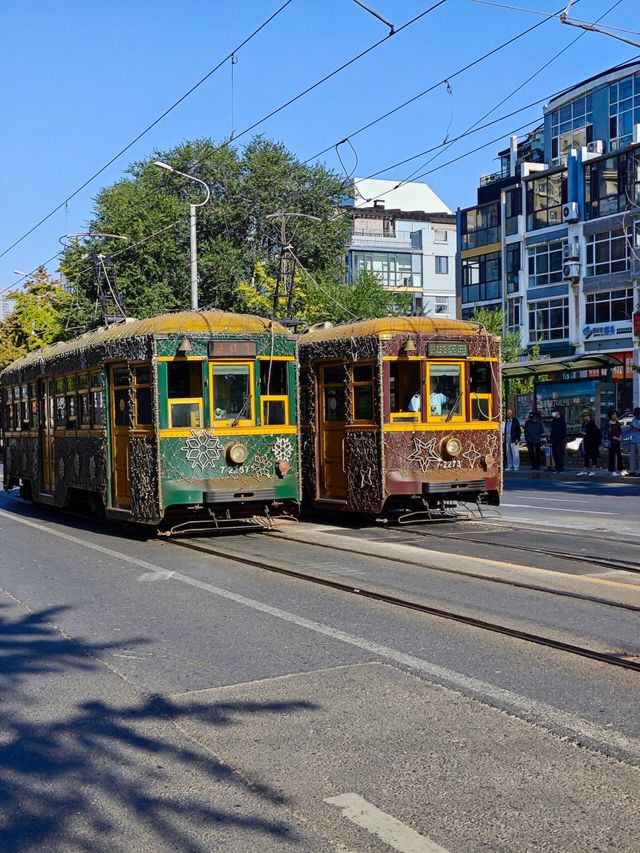 大連201路有軌電車：城市的時光紐帶