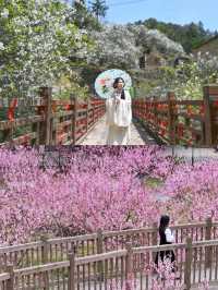 春天就要去「村」遊！福建寶藏村落等你來玩