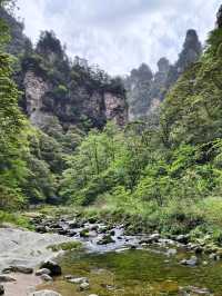 奇峰入畫‧雲海滌心：張家界國家森林公園的仙俠秘境之旅