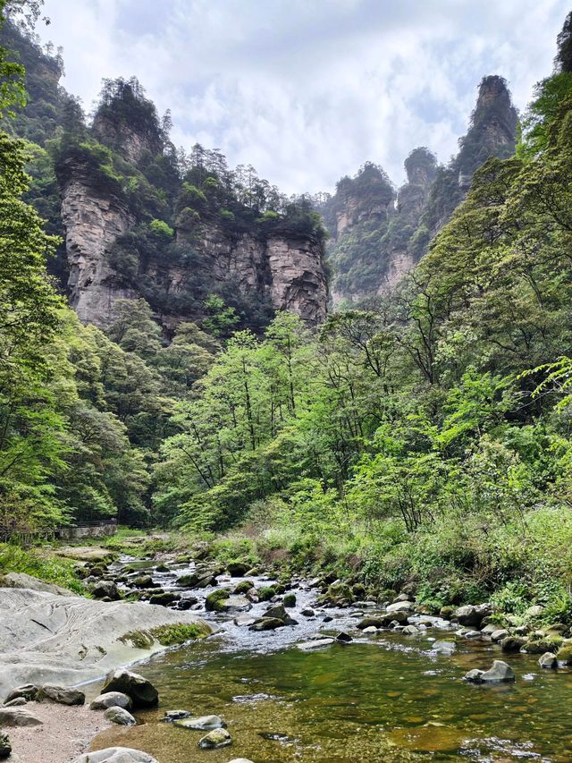 奇峰入畫‧雲海滌心：張家界國家森林公園的仙俠秘境之旅