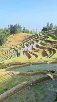 婁底|紫鵲界梯田|旅遊攻略齊全