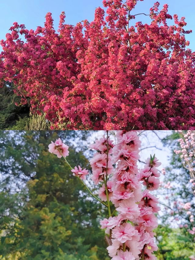 國家植物公園：一場與自然的深度對話