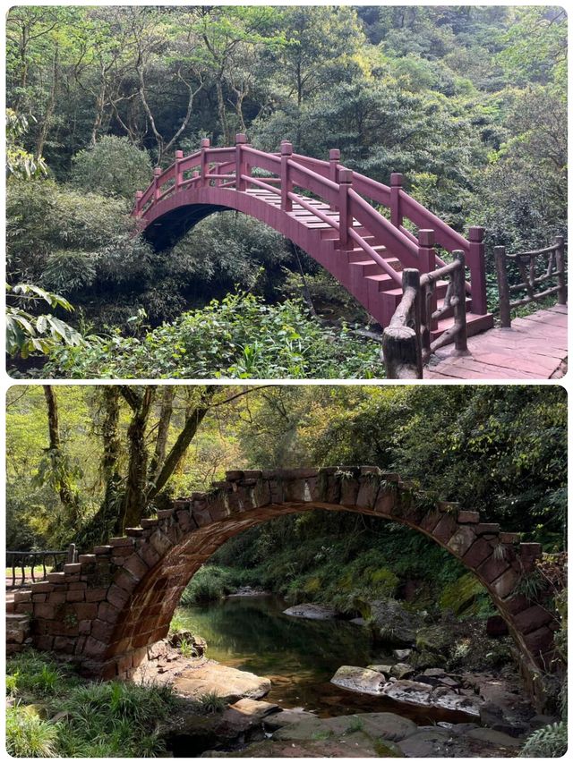 螢瀑森呼吸！天台山仙蹤暴走記