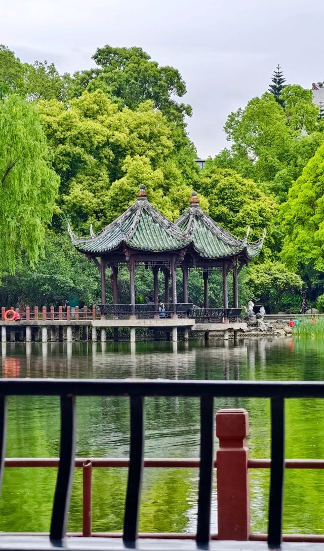 五一好去處|暮春棠湖映雲影,也無風雨也無晴