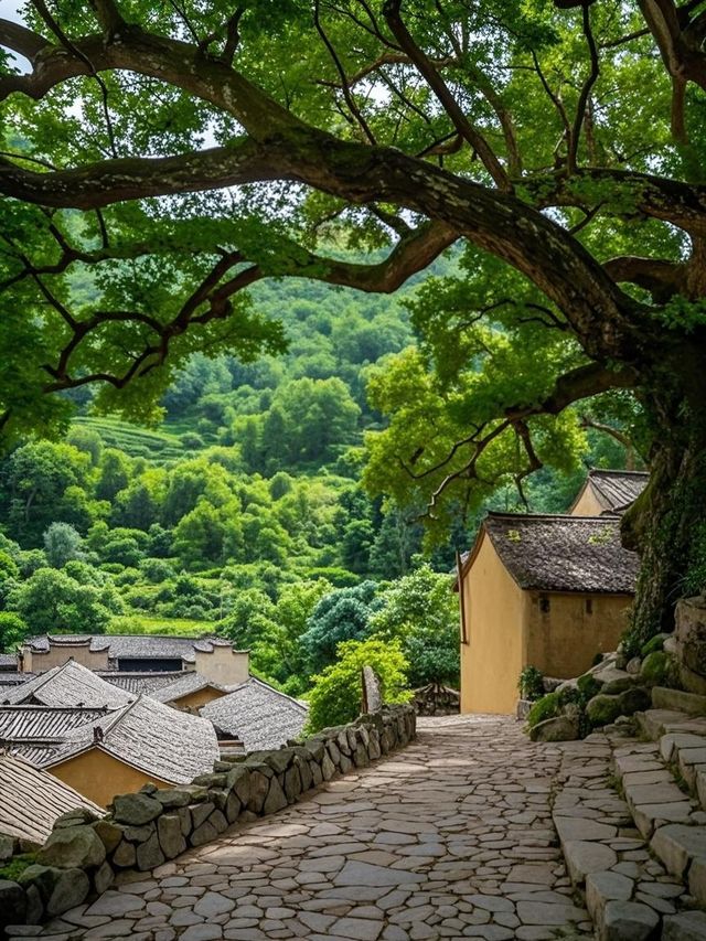 千萬別帶娃去松陽！這3個坑讓我困在秘境當野人