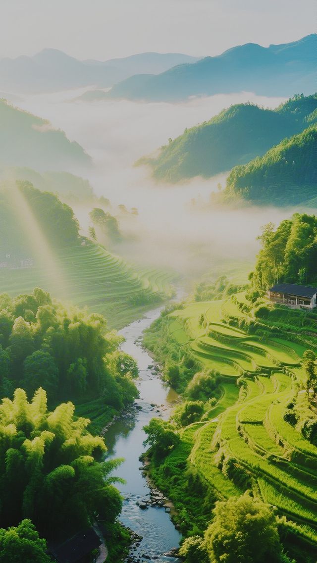 棲居雲水間：探秘福建雲水謠的詩意畫卷