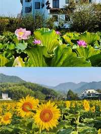 解鎖江南徽州，穿越四季嘅絕美之旅