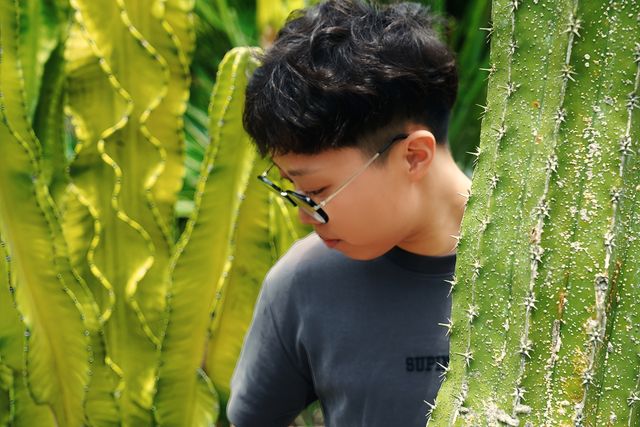 廈門植物園｜多肉區可以有幾好影！