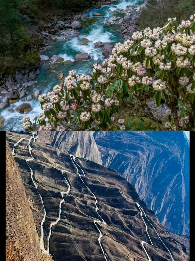 墨脫旅遊攻略｜西藏秘境徒步天堂，穿越熱帶雨林與雪山之巔