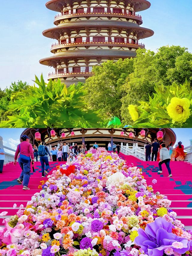 《唯有牡丹真國色，花開時節動京城！》