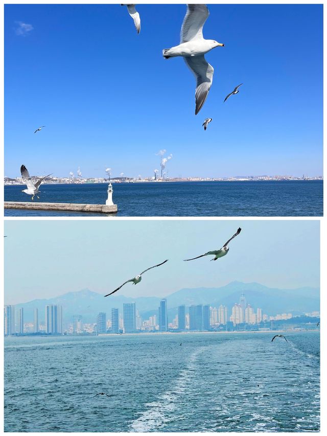 山東威海輪船坐輪船睇風景心情靚真好