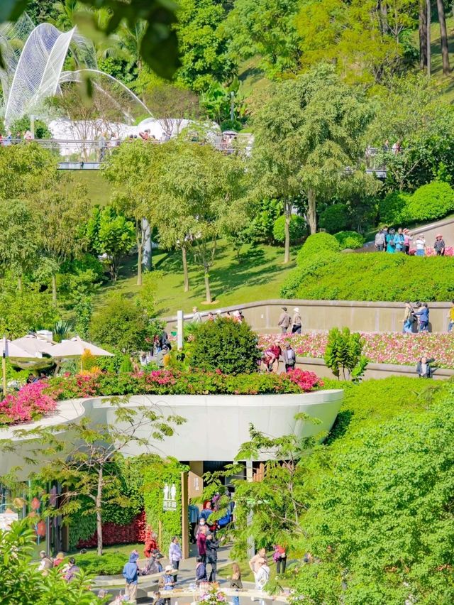 Yuntai Garden in Guangzhou is Amazing😍