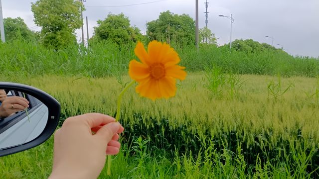32.4  溧陽長蕩湖