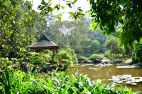 西雙版納熱帶植物園：熱帶植物王國
