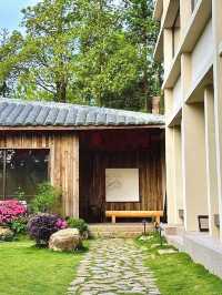 福州鼓嶺！同爸媽住進神仙山野小院！太治癒啦～