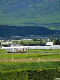 熬夜整理北海道夏日避暑勝地