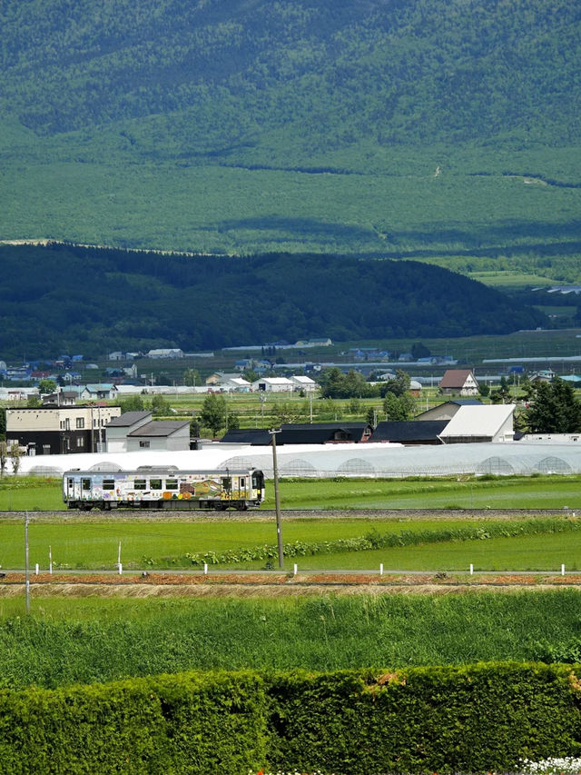 熬夜整理北海道夏日避暑勝地