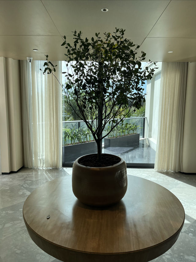 海南清水灣英迪格酒店 | 海洋珠寶鋪裡的夢幻度假