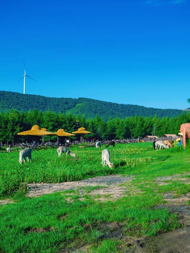 北京出發3小時直達，帶小朋友採蘑菇同動物互動嘅好地方